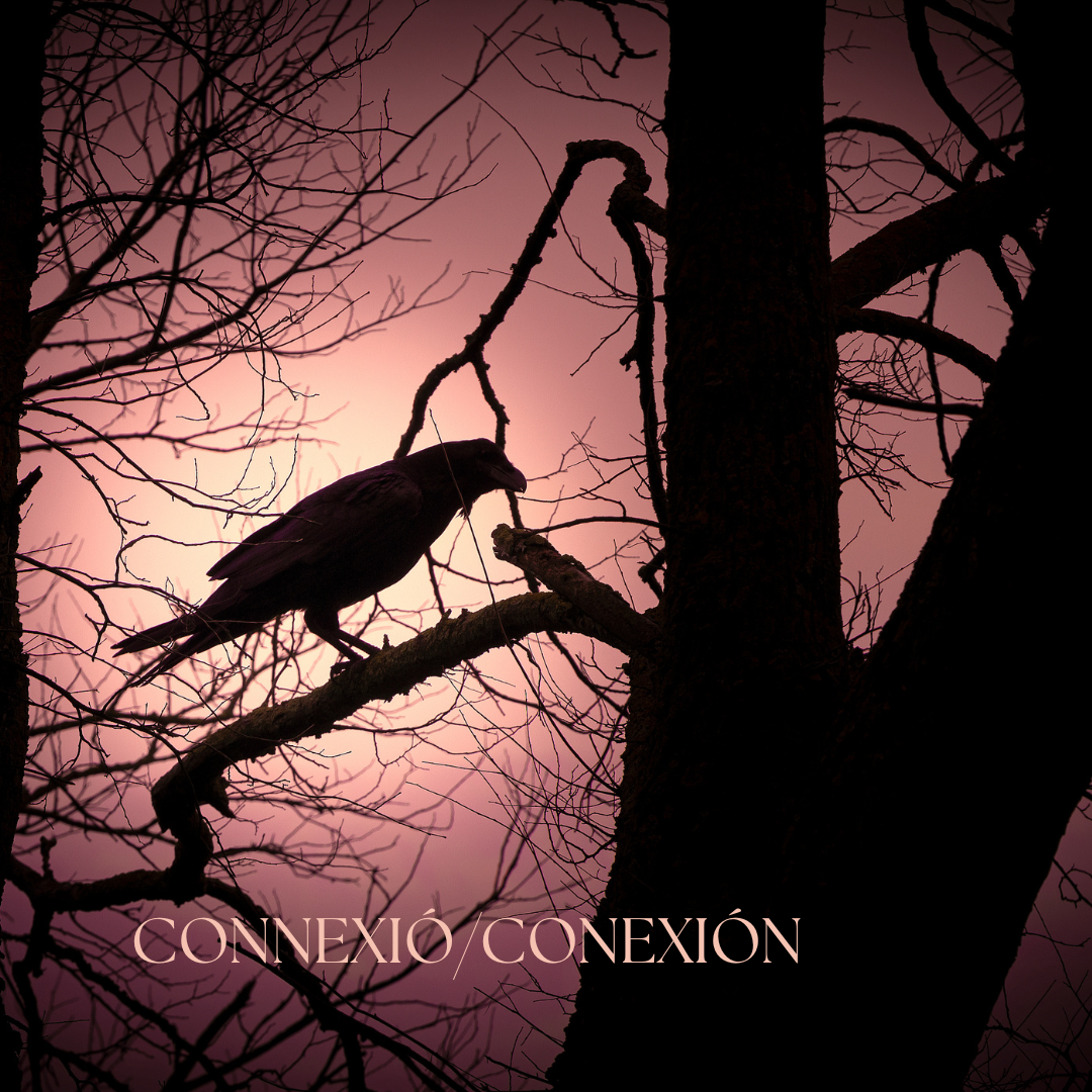 Samhain o Tots Sants